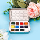 Watercolor Pocket Set of 12 | Essential Colors