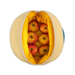 Slide image