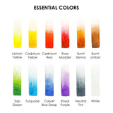 Watercolor Pocket Set Of 12 With Brush | Essential Colors