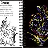 Garden Fairies Scratch & Sketch