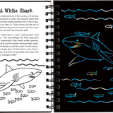 Sharks Scratch & Sketch