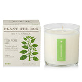 Fresh Picked Basil | Plant the Box Candle