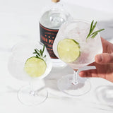 Gin and Tonic Glasses | Set of 2