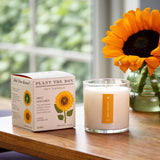 Sweet Sunflower | Plant the Box Candle