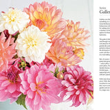 Dahlias | Beautiful Varieties for Home & Garden