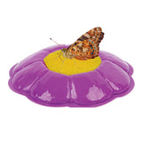 Butterfly Garden Growing Kit with Voucher