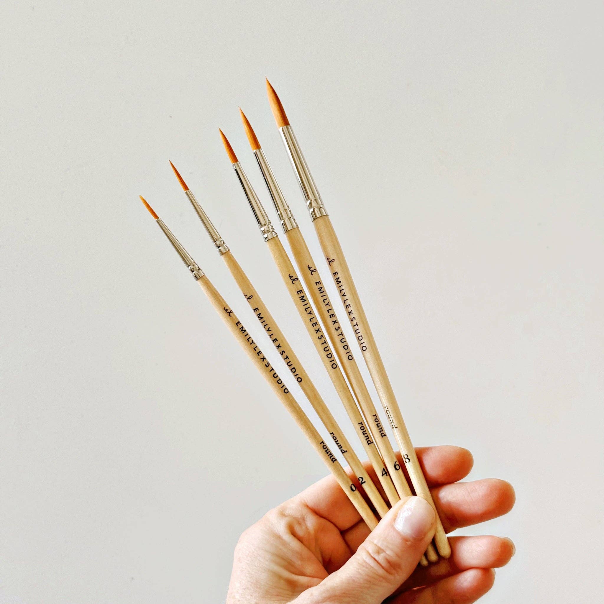 Watercolor Paintbrush | Set of 5