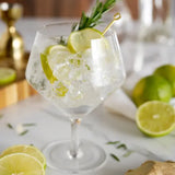 Gin and Tonic Glasses | Set of 2