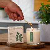 Crushed Mint | Plant the Box Candle