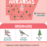 USA Lunch Box Notes | Set of 50