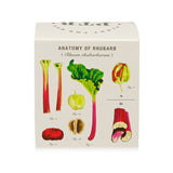 Backyard Rhubarb | Plant the Box Candle