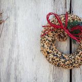 Bird Seed Wreath