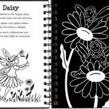 Garden Fairies Scratch & Sketch