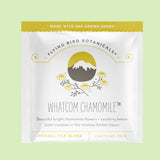 Sampler Box | 12 Days of Tea