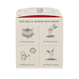 Ripe Watermelon | Plant the Box Candle