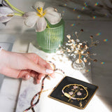 Hummingbird Jewelry Dish + Stud Earring Set