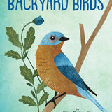 Kid’s Guide to Backyard Birds