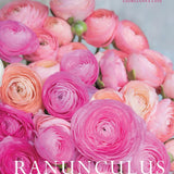 Ranunculus | Beautiful varieties for home and garden