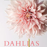 Dahlias | Beautiful Varieties for Home & Garden