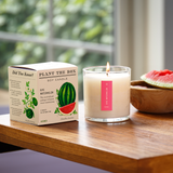 Ripe Watermelon | Plant the Box Candle