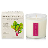 Backyard Rhubarb | Plant the Box Candle