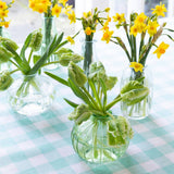 Clear Glass Bud Vase | Small