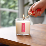 Ripe Watermelon | Plant the Box Candle