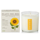 Sweet Sunflower | Plant the Box Candle