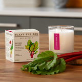 Backyard Rhubarb | Plant the Box Candle