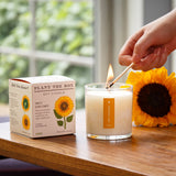 Sweet Sunflower | Plant the Box Candle