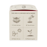 Backyard Rhubarb | Plant the Box Candle