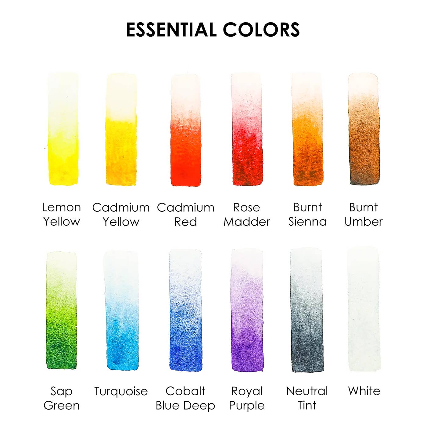 Mercentile Color Watercolor Pocket Set of 12 | Essential Colors – Wallflower Mercantile