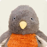 American Robin Warmies