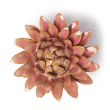 Pink Strawflower Ceramic Flower