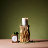 Hay | Two Wick Candle