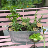 Herb Garden Workshop