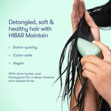 Maintain Conditioner