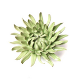 Light Green Mum Ceramic Flower