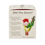 Backyard Rhubarb | Plant the Box Candle