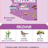 USA Lunch Box Notes | Set of 50