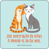 Kindness Lunch Box Notes | Set of 60