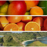 XOXO Soy Candle | Matte Jar