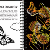 Butterflies and Friends Scratch & Sketch