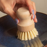 Dish Brush White Teakwood