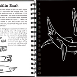 Sharks Scratch & Sketch