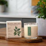 Crushed Mint | Plant the Box Candle