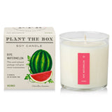 Ripe Watermelon | Plant the Box Candle