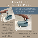 Hayden Bento Box | Fawn