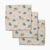 Freshly Picked Dishcloth Set