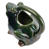 Frog Watering Pitcher | 32oz